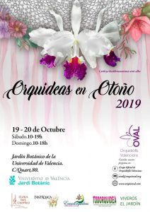 Orquídeas en Otoño 2019