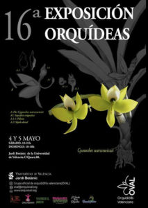 16ª Exposición de Orquídeas otoño 2019