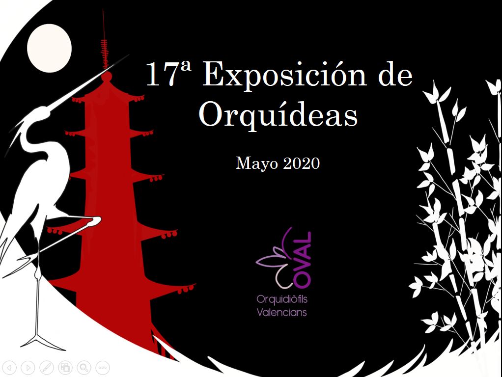 17 Exposición de Orquídeas. Orquioval.
