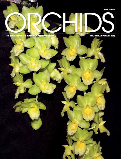 Portada de la revista American Orchid Society de agosto de 2019