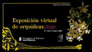 Cartel exposición virtual OVAL 2020