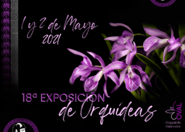 Charlas y vídeos 18ª Exposición virtual de mayo 2021