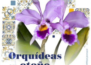 Charlas y vídeos 19ª Exposición de otoño 2021