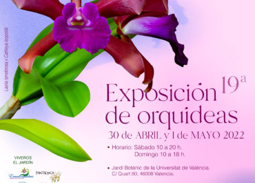 19ª Exposición de orquídeas
