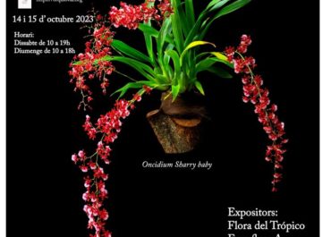 Charlas y vídeos 21ª Orquídies a la tardor 2023