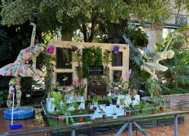 Orquídeas a la Tardor 2024