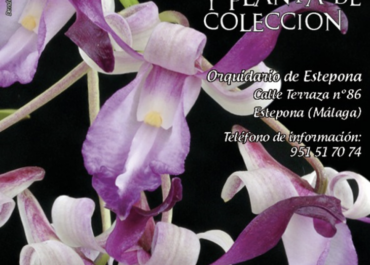 X Feria de Orquídeas y Plantas de Colección de Estepona
