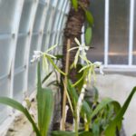 WhatsApp Image 2025-12-09 at 09.55.12 (1)