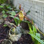 WhatsApp Image 2025-12-09 at 09.55.12