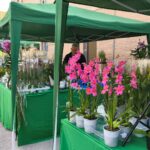 WhatsApp Image 2025-12-09 at 09.55.13