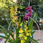 WhatsApp Image 2025-12-09 at 09.55.14