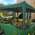 WhatsApp Image 2025-12-09 at 09.55.14 (4)