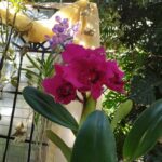 WhatsApp Image 2025-12-09 at 09.55.15 (1)