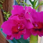 WhatsApp Image 2025-12-09 at 09.55.15 (3)