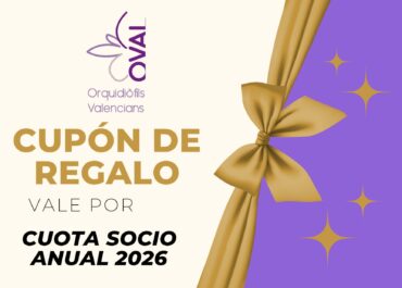 Cupón de regalo OVAL · Cuota socio anual 2026