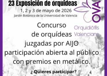 Participa en nuestro concurso de orquídeas