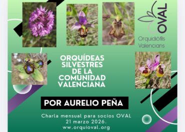 Charla sobre orquídeas silvestres de la Comunidad Valenciana