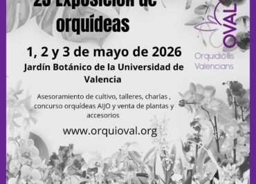 Exposición de Orquídeas de mayo 2026