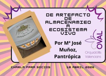 Charla en OVAL: de artefacto de almacenamiento a ecosistema vivo