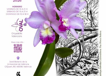 23ª Exposición de Orquídeas en Valencia · OVAL 2026