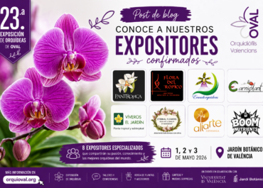 Expositores de la 23 exposición de orquideas de Oval