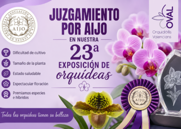 Juzgamiento de orquideas en la 23ª Exposición de Orquídeas de Valencia