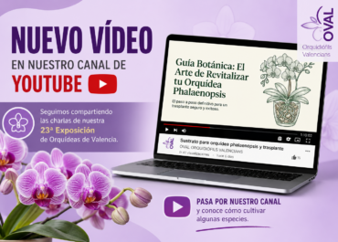 Nuevo video en nuestro canal YouTube cultiva tu orquidea