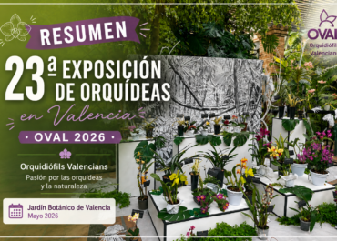 Así vivimos la 23ª Exposición de Orquídeas de OVAL