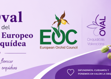 Oval ya forma parte oficialmente del European Orchid Council (EOC)