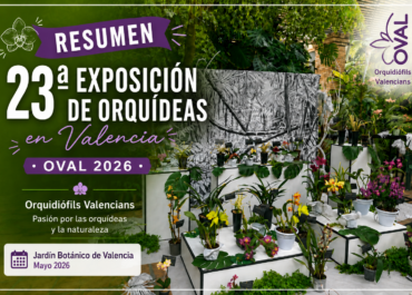 Así vivimos la 23ª Exposición de Orquídeas de OVAL