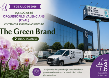 Visita de Oval a The Green Brand