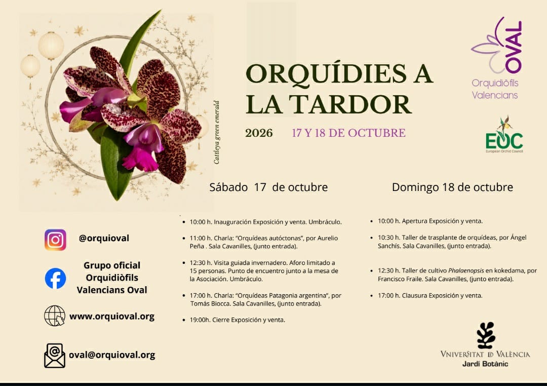 Cartel de Orquídies a la Tardor 2026, 17 y 18 de octubre, exposición y venta de orquídeas en el Jardí Botànic de València