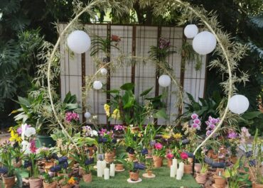 Exposición Orquídies a la tardor 2026: resumen de un fin de semana pasado por agua